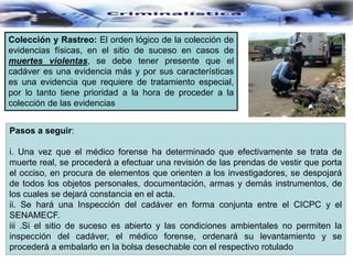 Colección y Rastreo: El orden lógico de la colección de
evidencias físicas, en el sitio de suceso en casos de
muertes violentas, se debe tener presente que el
cadáver es una evidencia más y por sus características
es una evidencia que requiere de tratamiento especial,
por lo tanto tiene prioridad a la hora de proceder a la
colección de las evidencias
Pasos a seguir:
i. Una vez que el médico forense ha determinado que efectivamente se trata de
muerte real, se procederá a efectuar una revisión de las prendas de vestir que porta
el occiso, en procura de elementos que orienten a los investigadores, se despojará
de todos los objetos personales, documentación, armas y demás instrumentos, de
los cuales se dejará constancia en el acta.
ii. Se hará una Inspección del cadáver en forma conjunta entre el CICPC y el
SENAMECF.
iii .Si el sitio de suceso es abierto y las condiciones ambientales no permiten la
inspección del cadáver, el médico forense, ordenará su levantamiento y se
procederá a embalarlo en la bolsa desechable con el respectivo rotulado
 