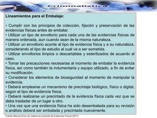 Fuente: Manual Único de Cadena de Custodia de Evidencias Físicas (2017)
Lineamientos para el Embalaje:
• Cumplir con los principios de colección, fijación y preservación de las
evidencias físicas antes de embalar.
• Utilizar un tipo de envoltorio para cada una de las evidencias físicas de
manera ordenada, aun cuando sean de la misma naturaleza.
• Utilizar un envoltorio acorde al tipo de evidencia física y a su naturaleza,
considerando el tipo de estudio al cual va a ser sometida.
• Utilizar envoltorios limpios o descartables y esterilizados de acuerdo al
caso.
• Tomar las precauciones necesarias al momento de embalar la evidencia
física, así como también la indumentaria y equipo utilizado, a fin de evitar
su modificación.
• Considerar los elementos de bioseguridad al momento de manipular la
evidencia.
• Deberá emplearse un mecanismo de precintaje biológico, físico o digital,
según el tipo de evidencia física.
• Deberá realizarse un precintado de la evidencia física cada vez que se
deba trasladar de un lugar a otro.
• Una vez que una evidencia física ha sido desembalada para su revisión
o análisis deberá ser embalada y precintada nuevamente.
 