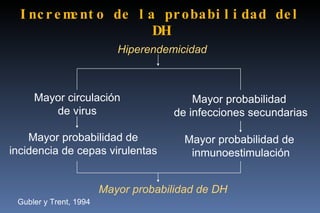 Incremento de la probabilidad del DH Hiperendemicidad Mayor circulación de virus Mayor probabilidad  de infecciones secundarias Mayor probabilidad de incidencia de cepas virulentas Mayor probabilidad de  inmunoestimulación Mayor probabilidad de DH Gubler y Trent, 1994 