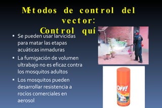 Métodos de control del vector: Control químico Se pueden usar larvicidas para matar las etapas acuáticas inmaduras La fumigación de volumen ultrabajo no es eficaz contra los mosquitos adultos Los mosquitos pueden desarrollar resistencia a rocíos comerciales en aerosol 