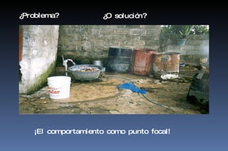 ¿Problema? ¿O solución? ¡El comportamiento como punto focal! 