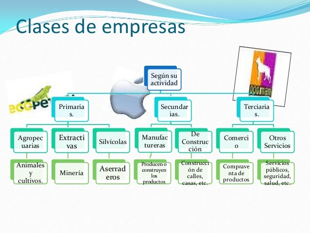 Que Es Empresa Y Clases De Empresa