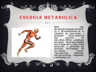 ENERGIA METABOLICA
Este tipo
de energía llamada metabóli
ca o de metabolismo es el
conjunto de reacciones y
procesos físico-químicos
que ocurren en
una célula. Estos complejos
procesos interrelacionados
son la base de la vida a nivel
molecular, y permiten las
diversas actividades de
las células: crecer,
reproducirse, mantener
sus estructuras, responder
a estímulos, etc.
 