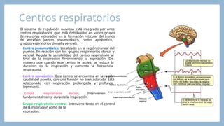 clases de fisiologia respiratoria para aprender a entender como ...