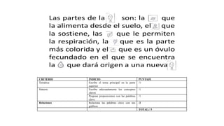 Las partes de la son: la que
la alimenta desde el suelo, el que
la sostiene, las que le permiten
la respiración, la que es la parte
más colorida y el que es un óvulo
fecundado en el que se encuentra
la que dará origen a una nueva
CRITERIO INDICIO PUNTAJE
Temática Escribe el tema principal en la parte
superior
/1
Síntesis Escribe adecuadamente los conceptos
claves
/1
Propone proposiciones con las palabras
clave
/1
Relaciones Relaciona las palabras clave con sus
gráficos
/2
TOTAL:/ 5
 