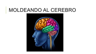MOLDEANDO AL CEREBRO
 