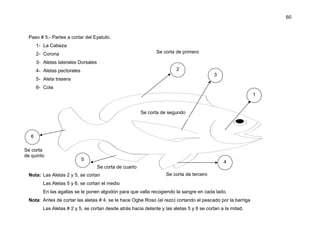 60



 Paso # 5.- Partes a cortar del Eyatuto.
       1- La Cabeza
       2- Corona                                                 Se corta de primero

       3- Aletas laterales Dorsales
       4- Aletas pectorales                                               2
                                                                                            3
       5- Aleta trasera
       6- Cola
                                                                                                             1


                                                           Se corta de segundo



   6

Se corta
de quinto
                              5                                                                 4
                                      Se corta de cuarto
 Nota: Las Aletas 2 y 5, se cortan                                   Se corta de tercero
          Las Aletas 5 y 6, se cortan el medio
          En las agallas se le ponen algodón para que valla recogiendo la sangre en cada lado.
 Nota: Antes de cortar las aletas # 4, se le hace Ogbe Roso (el rezo) cortando el pescado por la barriga
          Las Aletas # 2 y 5, se cortan desde atrás hacia delante y las aletas 5 y 6 se cortan a la mitad.
 