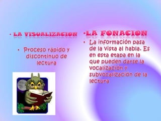 LA VISUALIZACION Proceso rápido y discontinuo de lectura LA FONACION La información pasa de la vista al habla. Es en esta etapa en la que pueden darse la vocalización y subvocalización de la lectura