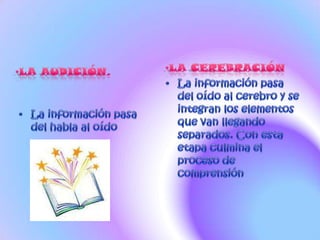 LA AUDICIÓN.La información pasa del habla al oído LA CEREBRACIÓNLa información pasa del oído al cerebro y se integran los elementos que van llegando separados. Con esta etapa culmina el proceso de comprensión