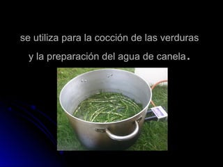 se utiliza para la cocción de las verduras
 y la preparación del agua de canela  .
 
