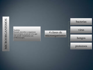MICROORGANISMOS
También
llamado microbio u organismo
microscópico, es un ser vivo que
sólo puede visualizarse con
el Microscopio.
4 clases de
microorganismos
bacterias
virus
hongos
protozoos
 