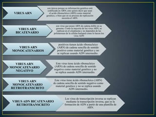 VIRUS ARN
son únicos porque su información genética está
codificada en ARN; esto quiere decir que usan
el acido ribonucleico (ARN) como material
genético, o bien que en su proceso de replicación
necesita el ARN.
VIRUS ARN
BICATENARIO
son virus que posee ARN de cadena doble en su
genoma. Como la mayoría de los virus ARN, se
replican en el citoplasma y no dependen de las
polimerasas de la células huésped como lo hacen los
virus ADN
VIRUS ARN
MONOCATENARIOS
Este virus tiene ácido ribonucleico
(ARN) de cadena sencilla de sentido
negativo como material genético y no
se replica usando ADN intermedio.
positivos tienen ácido ribonucleico
(ARN) de cadena sencilla de sentido
positivo como material genético y no
se replican usando ADN intermedio.
VIRUS ARN
MONOCATENARIO
NEGATIVO
VIRUS ARN
MONOCATENARIO
RETROTRANSCRITO
Este virus tiene ácido ribonucleico (ARN)
de cadena sencilla de sentido negativo como
material genético y no se replica usando
ADN intermedio.
VIRUS ADN BICATENARIO
RETROTRANSCRITO
Los virus de transcripción inversa se replican
mediante la transcripción inversa, que es la
formación de ADN a partir de una plantilla de
ARN.
 