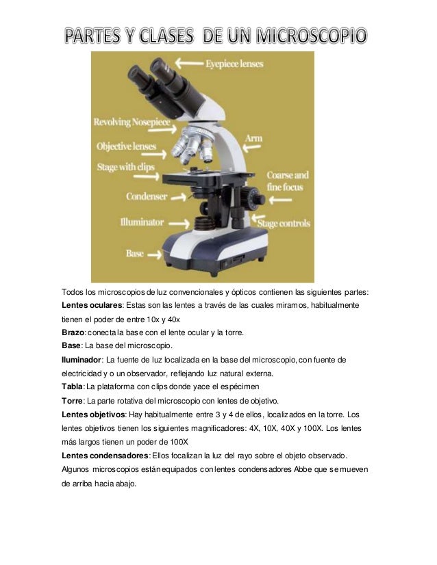 Clases de microscopio Clases de microscopio