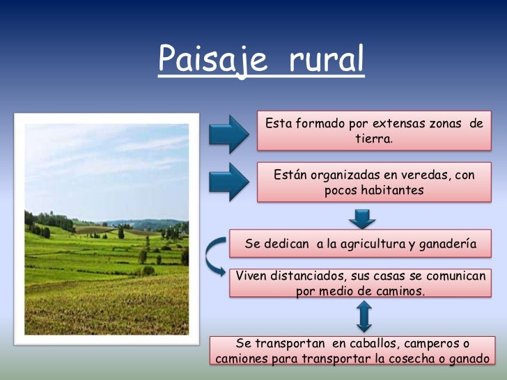 50+ Mapa Conceptual De Paisaje Urbano Y Rural PNG Diente