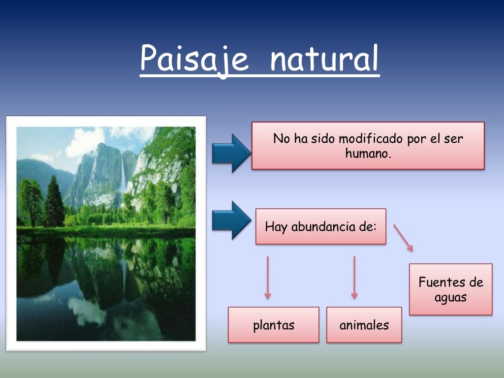 Clases De Paisaje