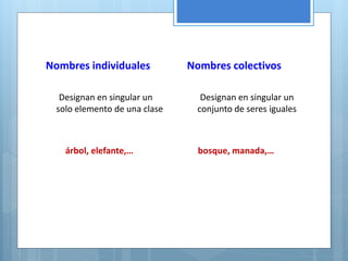 Nombres individuales 
Designan en singular un 
solo elemento de una clase 
árbol, elefante,… 
Nombres colectivos 
Designan en singular un 
conjunto de seres iguales 
bosque, manada,… 
 