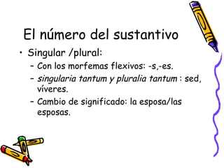 El número del sustantivo Singular /plural:  Con los morfemas flexivos: -s,-es. singularia tantum y pluralia tantum  : sed, víveres. Cambio de significado: la esposa/las esposas. 