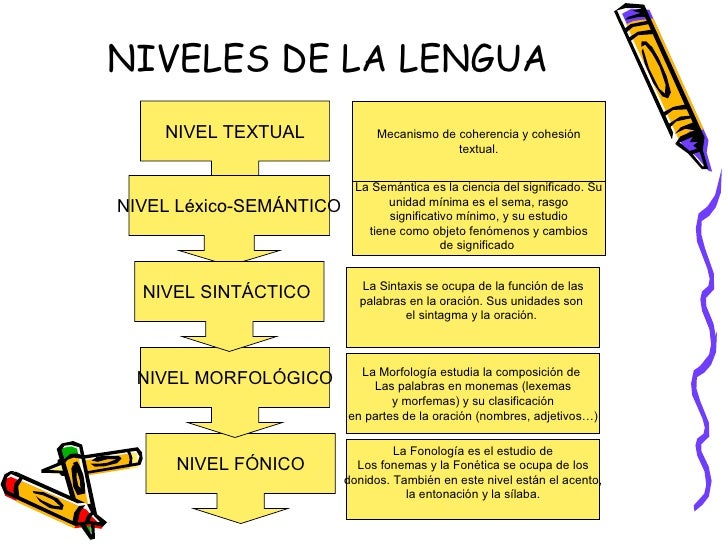 Clases de palabras_power Clases de palabras_power