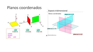 Planos coordenados
 