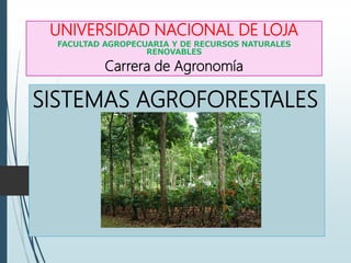UNIVERSIDAD NACIONAL DE LOJA
FACULTAD AGROPECUARIA Y DE RECURSOS NATURALES
RENOVABLES
Carrera de Agronomía
SISTEMAS AGROFORESTALES
 