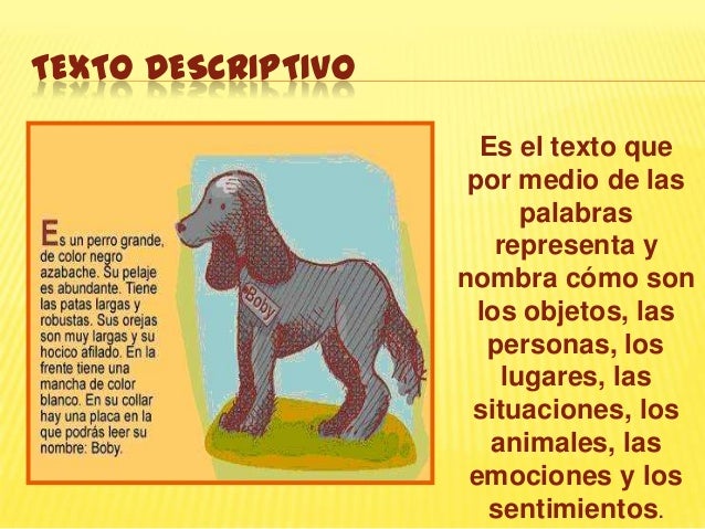 Hacer el champú por las manos de la caída de los cabello