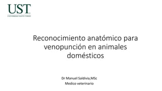 Reconocimiento anatómico para
venopunción en animales
domésticos
Dr Manuel Saldivia,MSc
Medico veterinario
 