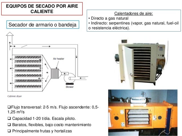 secado de los alimentos