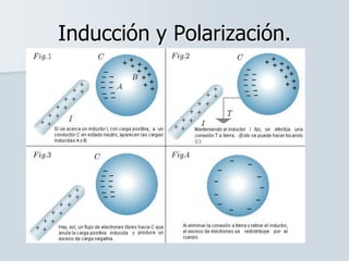 Inducción y Polarización.
 