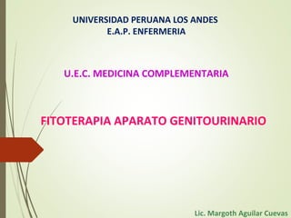 UNIVERSIDAD PERUANA LOS ANDES
E.A.P. ENFERMERIA
Lic. Margoth Aguilar Cuevas
U.E.C. MEDICINA COMPLEMENTARIA
FITOTERAPIA APARATO GENITOURINARIO
 
