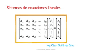 Sistemas de ecuaciones lineales
Ing. César Gutiérrez Cuba
Dr. César Gutiérrez - Métodos Numéricos
 