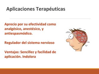 Aplicaciones Terapéuticas
Aprecio por su efectividad como
analgésico, anestésico, y
antiespasmódico.
Regulador del sistema nervioso
Ventajas: Sencillez y facilidad de
aplicación. Indolora
 