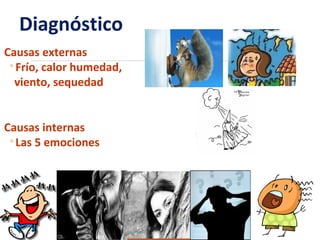 Diagnóstico
Causas externas
◦Frío, calor humedad,
viento, sequedad
Causas internas
◦Las 5 emociones
 