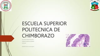 ESCUELA SUPERIOR
POLITECNICA DE
CHIMBORAZO
FACULTAD DE CIENCIAS PECUARIAS
CARRERA DE MEDICINA VETERINARIA
HISTOLOGIA
DOCENTE: MVZ. MsC. Lorena Vayas M.
 