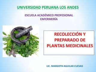 UNIVERSIDAD PERUANA LOS ANDES
ESCUELA ACADÉMICO PROFESIONAL
ENFERMERÍA
RECOLECCIÓN Y
PREPARADO DE
PLANTAS MEDICINALES
LIC. MARGOTH AGUILAR CUEVAS
 