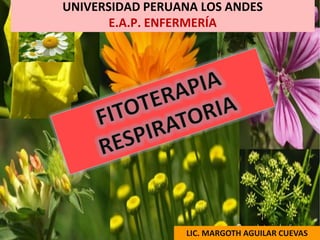 UNIVERSIDAD PERUANA LOS ANDES
E.A.P. ENFERMERÍA
LIC. MARGOTH AGUILAR CUEVAS
 