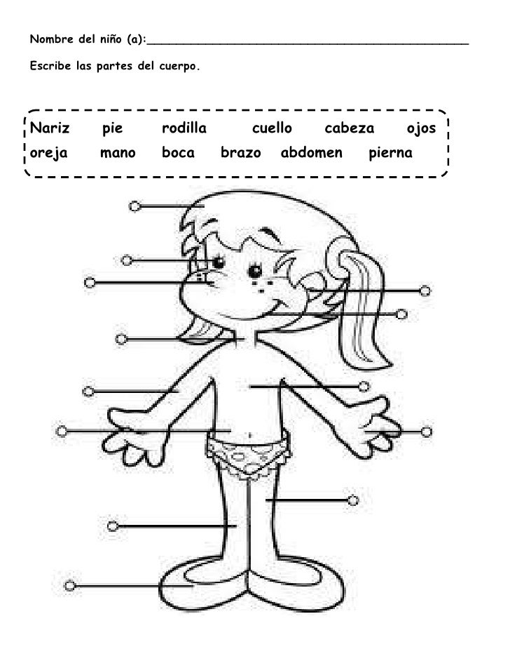 Resultado de imagen para ACTIVIDADES SOBRE EL CUERPO HUMANO PARA 2DO GRADO