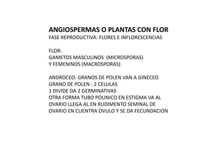 ANGIOSPERMAS O PLANTAS CON FLOR
FASE REPRODUCTIVA: FLORES E INFLORESCENCIAS
FLOR:
GAMETOS MASCULINOS (MICROSPORAS)
Y FEMENINOS (MACROSPORAS)
ANDROCEO: GRANOS DE POLEN VAN A GINECEO
GRANO DE POLEN : 2 CELULAS
1 DIVIDE DA 2 GERMINATIVAS
OTRA FORMA TUBO POLINICO EN ESTIGMA VA AL
OVARIO LLEGA AL EN RUDIMENTO SEMINAL DE
OVARIO EN CUENTRA OVULO Y SE DA FECUNDACION
 
