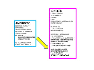 ANDROCEO:
ESTAMBRE (ANTERA Y
FILAMENTO)
ANTERA: GRANO POLEN:
EN GRANO DE POLEN HAY
2 CELULAS (a y b)
a) DA DOS
GERMINATIVAS,GAMETOS
ESPERMATOZOIDES
b) DA UNA VEGETATIVA:
FORMA TUBO POLINICO
GINECEO
CARPELO Ó PISTILO
TIENE: 3 PARTES
ESTIGMA
ESTILO
OVARIO CON 1 O MAS OVULOS DA
FRUTO Y SEMILLA
EN OVULO HAY
1 CELULA DIPLOIDE
(MEGASPOROCITO):
MEIOSIS DA 4 MEGASPORAS
3 SE DESINTEGRAN
1 POR MITOSIS DA EL GAMETOFITO
FEMENINO Ó SACO EMBRIONARIO
FORMADA POR 7 CELULAS
6 TIENEN 1 NUCLEO
1 TIENE 2 NUCLEOS (POLARES)
SOLO UNA DE 1 NUCLEO
(GAMETOFITO FEMENINO)
Y LA DE 2 NUCLEOS
SON FECUNDADAS
 