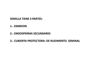 SEMILLA TIENE 3 PARTES:
1.- EMBRION
2.- ENDOSPERMA SECUNDARIO
3.- CUBIERTA PROTECTORA: DE RUDIMENTO SEMINAL
 