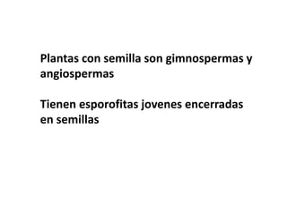 Plantas con semilla son gimnospermas y
angiospermas
Tienen esporofitas jovenes encerradas
en semillas
 