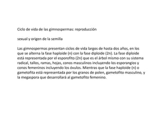 Ciclo de vida de las gimnospermas: reproducción
sexual y origen de la semilla
Las gimnospermas presentan ciclos de vida largos de hasta dos años, en los
que se alterna la fase haploide (n) con la fase diploide (2n). La fase diploide
está representada por el esporofito (2n) que es el árbol mismo con su sistema
radical, tallos, ramas, hojas, conos masculinos incluyendo los esporangios y
conos femeninos incluyendo los óvulos. Mientras que la fase haploide (n) o
gametofita está representada por los granos de polen, gametofito masculino, y
la megaspora que desarrollará al gametofito femenino.
 