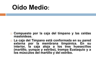 Oído Medio:
 Compuesto por la caja del tímpano y las celdas
mastoideas.
 La caja del Tímpano está conformada en su pared
externa por la membrana timpánica. En su
interior, la caja aloja a los tres huesecillos
(martillo, yunque y estribo), trompa Eustaquio y a
los músculos del martillo y del estribo.
 