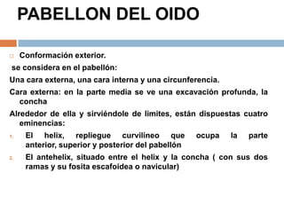 PABELLON DEL OIDO
 Conformación exterior.
se considera en el pabellón:
Una cara externa, una cara interna y una circunferencia.
Cara externa: en la parte media se ve una excavación profunda, la
concha
Alrededor de ella y sirviéndole de limites, están dispuestas cuatro
eminencias:
1. El helix, repliegue curvilíneo que ocupa la parte
anterior, superior y posterior del pabellón
2. El antehelix, situado entre el helix y la concha ( con sus dos
ramas y su fosita escafoidea o navicular)
 