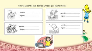 Colorea y escribe que sentido utiliza y que órgano utiliza
 