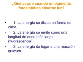 ¿Qué ocurre cuando un pigmento
fotosintético absorbe luz?

•

1. La energía se disipa en forma de
calor.
•
2. La energía se emite como una
longitud de onda más larga
(fluorescencia).
•
3. La energía da lugar a una reacción
química.

 