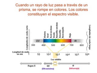 Cuando un rayo de luz pasa a través de un
prisma, se rompe en colores. Los colores
constituyen el espectro visible.

 