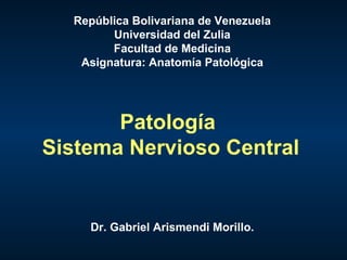 Patología  Sistema Nervioso Central Dr. Gabriel Arismendi Morillo. República Bolivariana de Venezuela Universidad del Zulia Facultad de Medicina Asignatura: Anatomía Patológica 