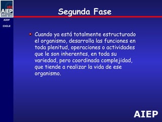 AIEP
AIEP
-
CHILE
Segunda Fase
Cuando ya está totalmente estructurado
el organismo, desarrolla las funciones en
toda plenitud, operaciones o actividades
que le son inherentes, en toda su
variedad, pero coordinada complejidad,
que tiende a realizar la vida de ese
organismo.
 