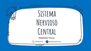 Sistema
Nervioso
Central
@sebast_jt
Sebastián Torres
@sebastiantorres
 