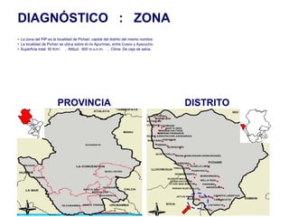 21
PROVINCIA DISTRITO
DIAGNÓSTICO : ZONA
• La zona del PIP es la localidad de Pichari, capital del distrito del mismo nombre.
• La localidad de Pichari se ubica sobre el río Apurímac, entre Cusco y Ayacucho.
• Superficie total: 50 Km2
. . Altitud : 600 m.s.n.m. . Clima: De ceja de selva.
 